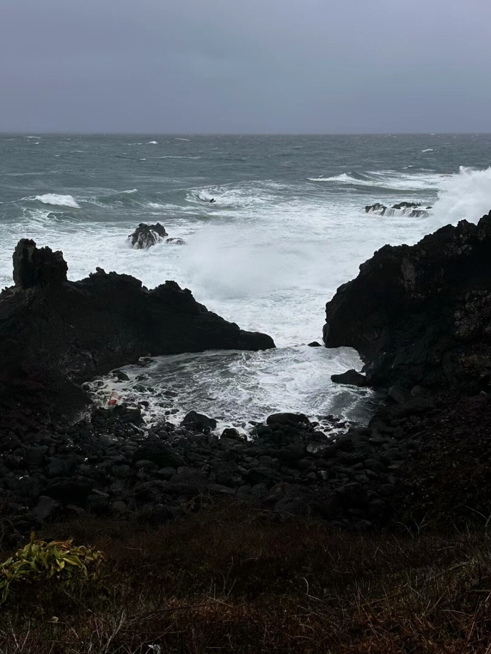 济州岛