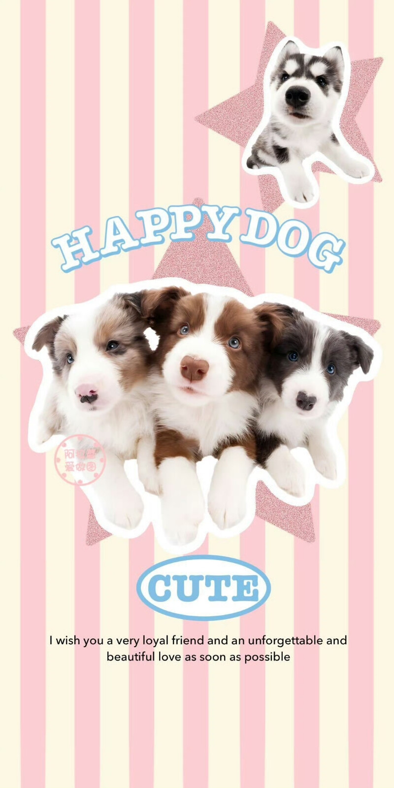 粉色猫咪狗狗壁纸图片