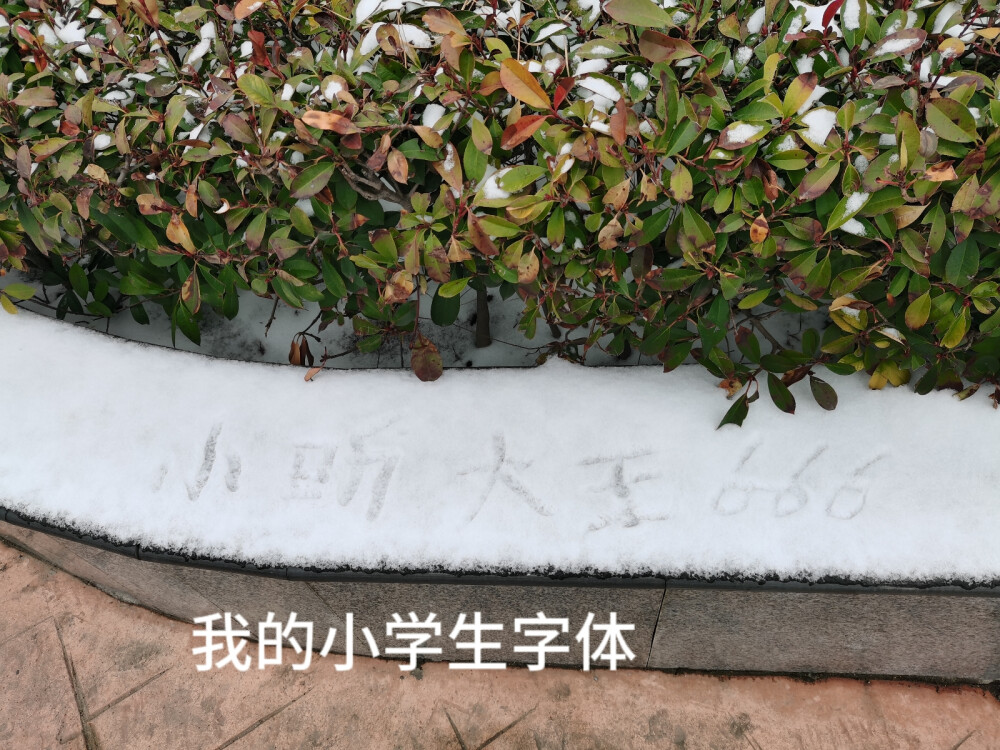 蜜雪冰城打工记