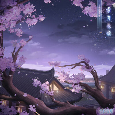 场景