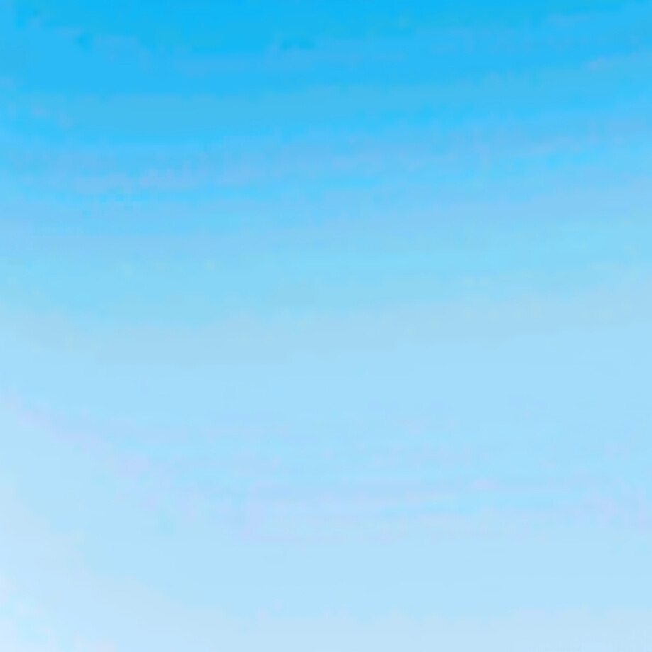  · ᐢ•˕•ᐢ
*子犬が飼い主を探す* ૮( ˃̣̣̥o˂̣̣̥ )ა
