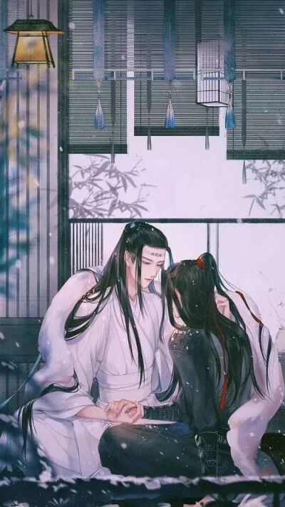 #魔道祖师# 魏无羡蓝忘机