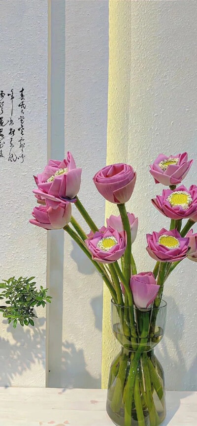 鲜花壁纸