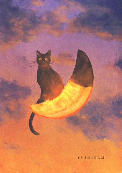 Moon cat