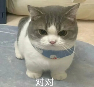 笑鼠