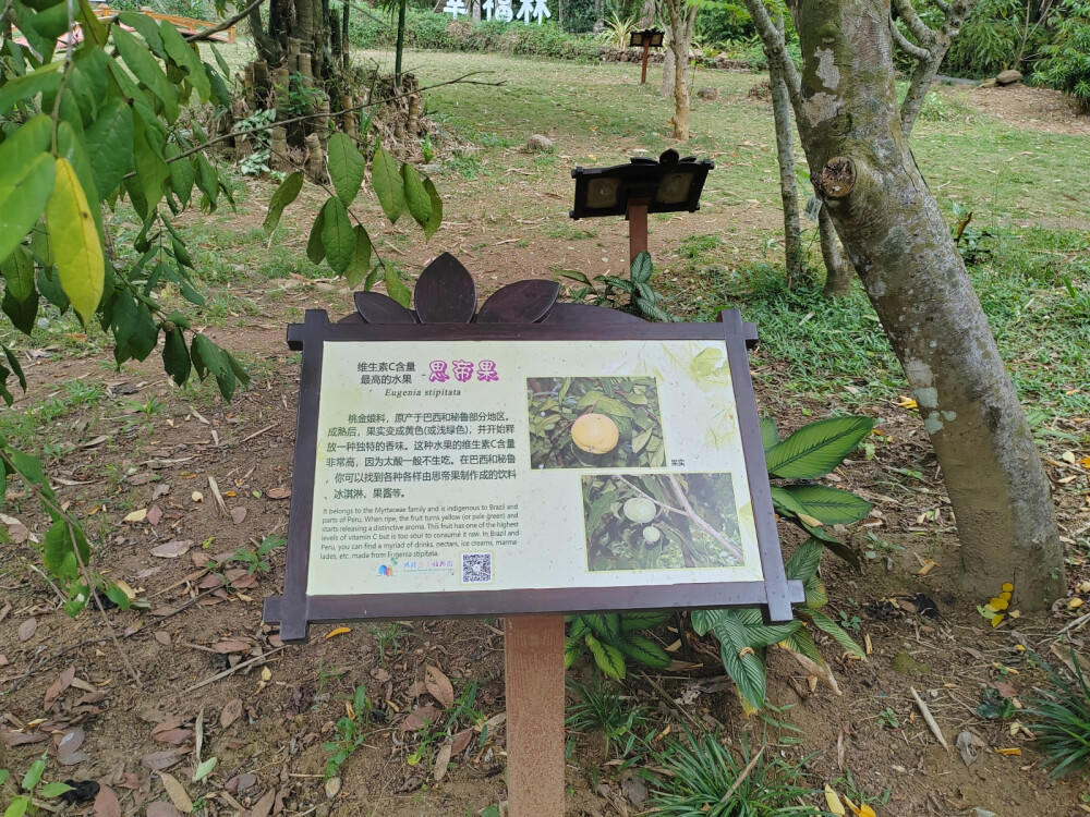 植物园