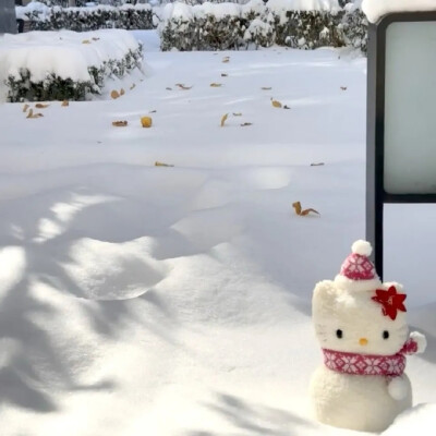 背景图+文案分享
下雪天，伞是倒悬天空的灵魂，所以我不艳羡他人青山，因为我生命里的大雪，是一道道逆笔回锋的春