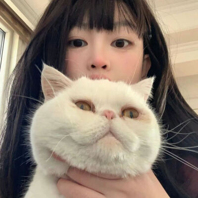 咪咪