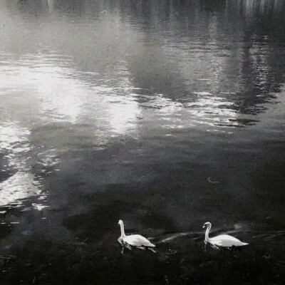 ༈请用黑白两色的眼睛 去观察五彩斑拥的世界⁺