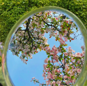 春日氛围感背景图