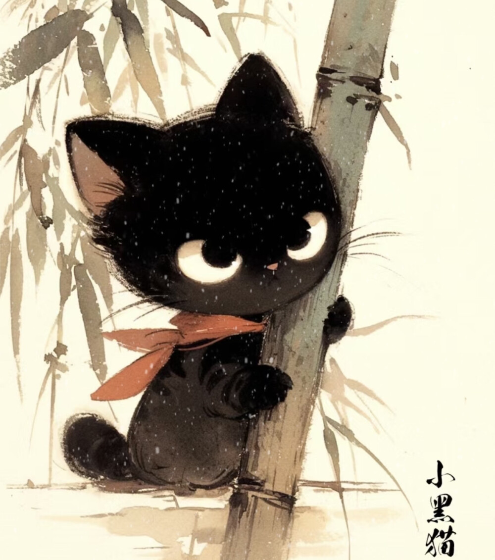 玄猫，小黑猫 - 高清图片，堆糖，美图壁纸兴趣社区