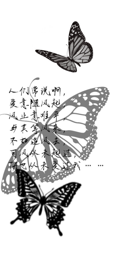 蝴蝶
聊天背景啊