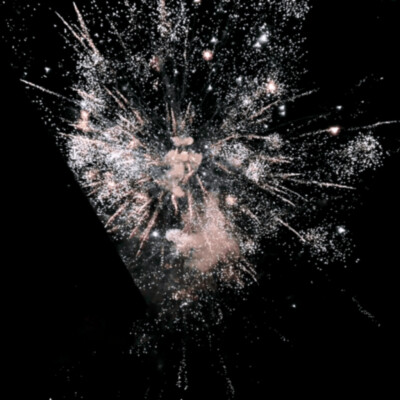 却被时间扑了空