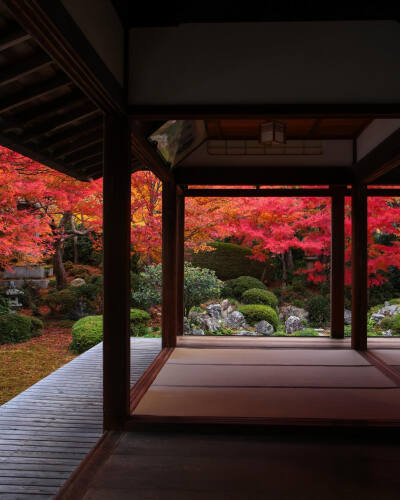 日本 京都 源光庵 