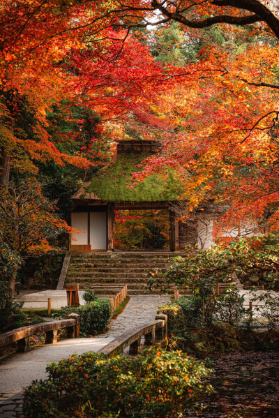 日本 京都 法然院 法然院山門 