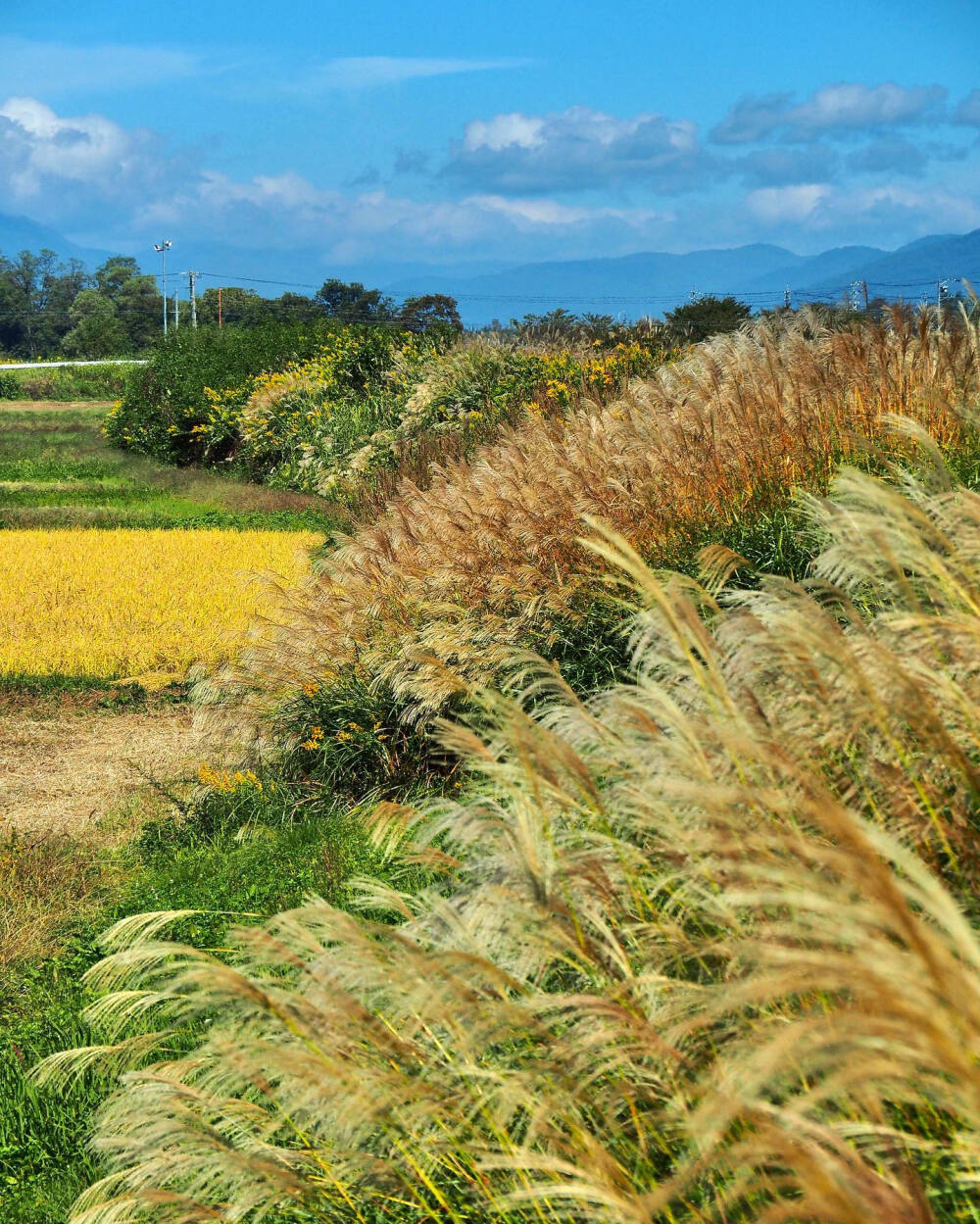 日本 長野県 安曇野