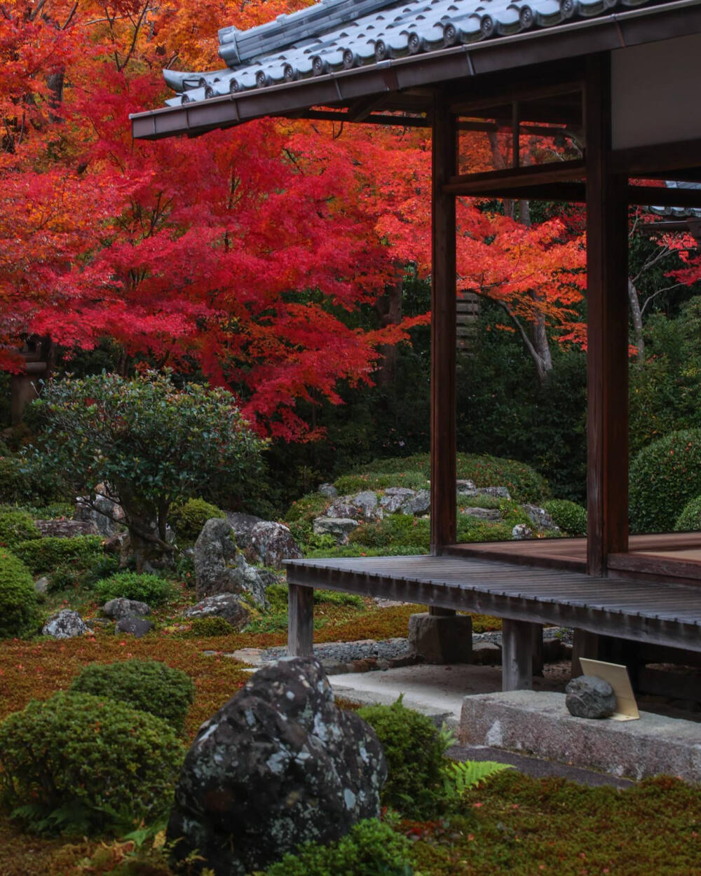 日本 京都 源光庵 