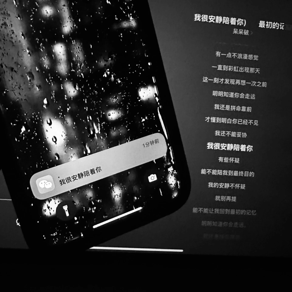 问了问心 它说慢慢释怀