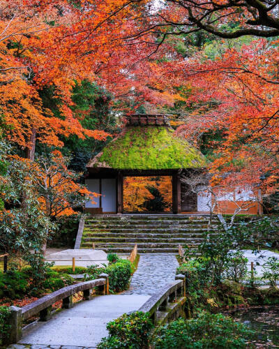 日本 京都 法然院 法然院山門 