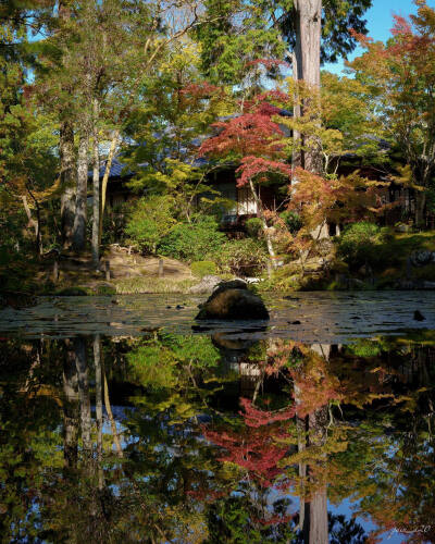 日本 京都 南禅寺 天授庵 