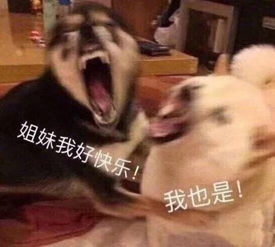 我一直以为海的对面就是终点，后来我才发现，一切才刚刚开始，玫瑰沾染着人类的鲜血放肆地盛开着，天空不再蔚蓝，而是一条条枷锁，是一个个牢笼，直到那时我才意识到，我再也走不到终点，被永远的困在这里，像落魄的魂，苟且偷生 ——永恒