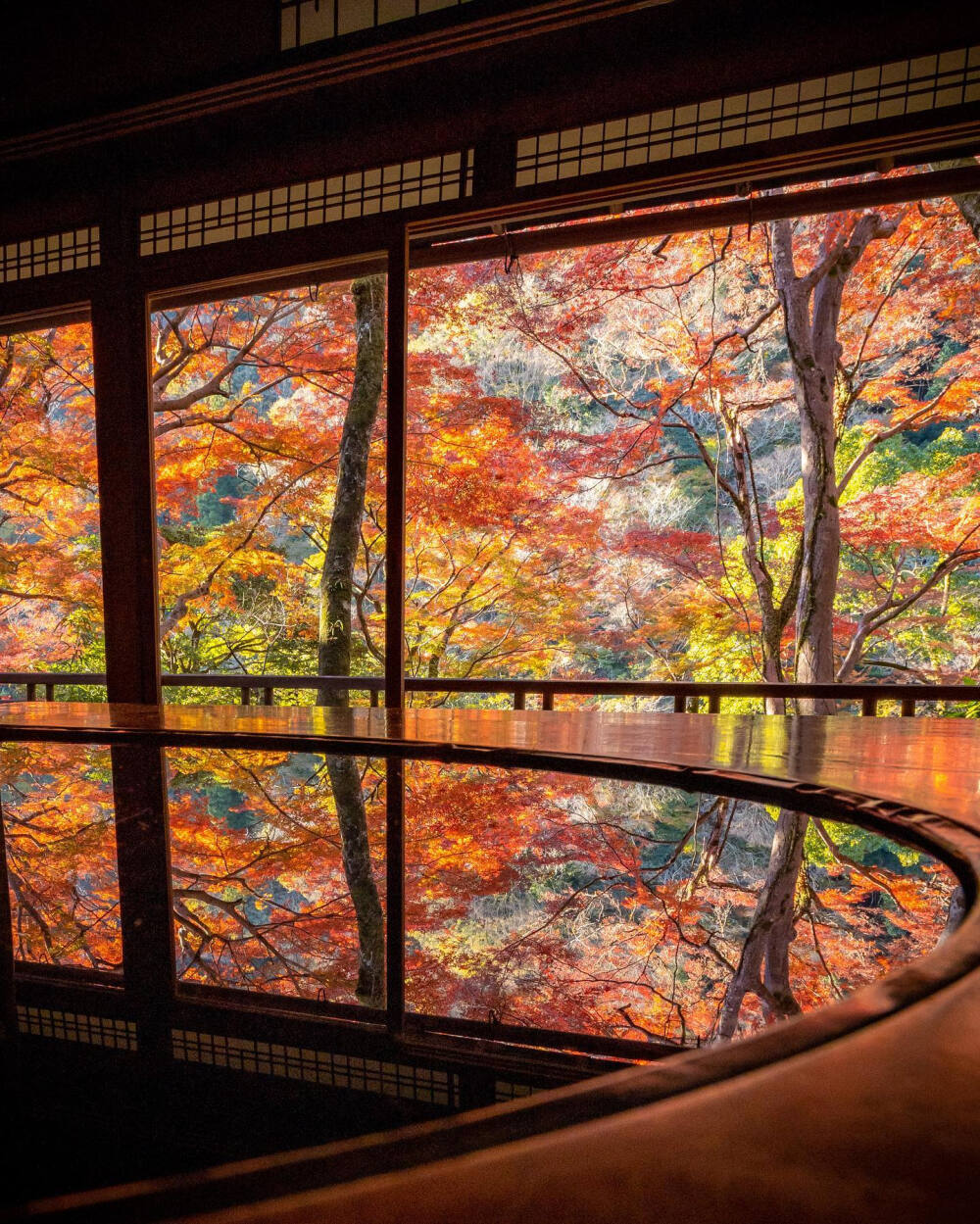 日本 京都 岚山 祐斎亭 Arashiyama Yusaitei 