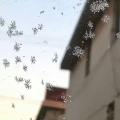  遇见你就像是小猫的世界下起了秋刀鱼雨˶˃ ᵕ ˂˶