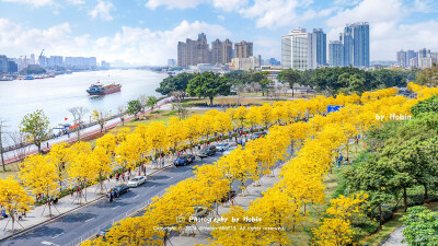 羊城四时花开，花城百花盛放
春天到，新一年的四季流转开始，愿我们始终被繁花般的温柔包围！
by.@Hobin-MK813