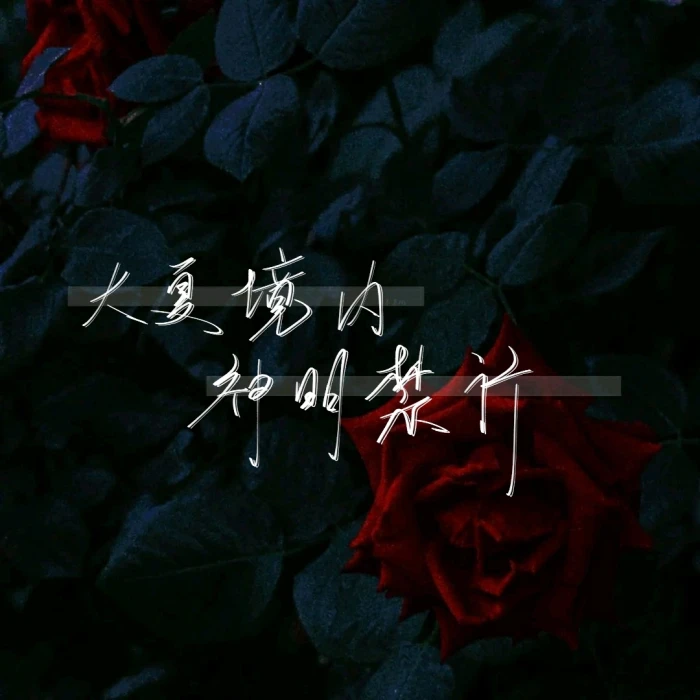 背景图