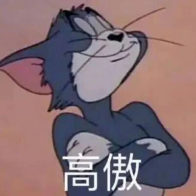 搞笑表情包