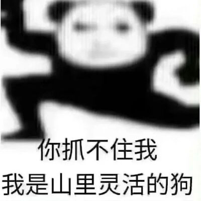 发疯表情包