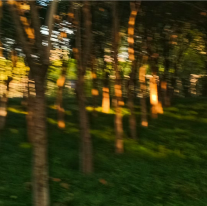 背景图