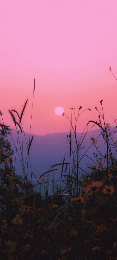 风景壁纸