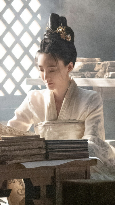 大唐狄公案 王丽坤