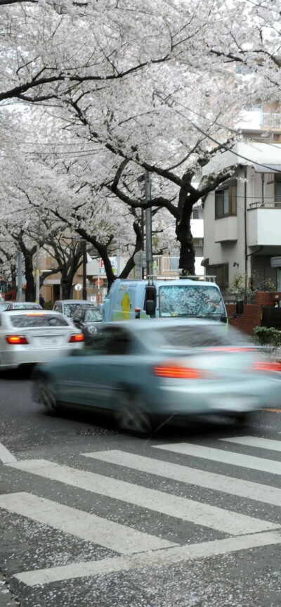 背景