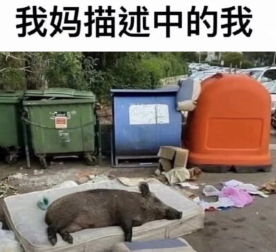 表情