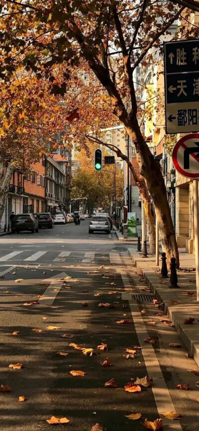 不烂大街的高级壁纸