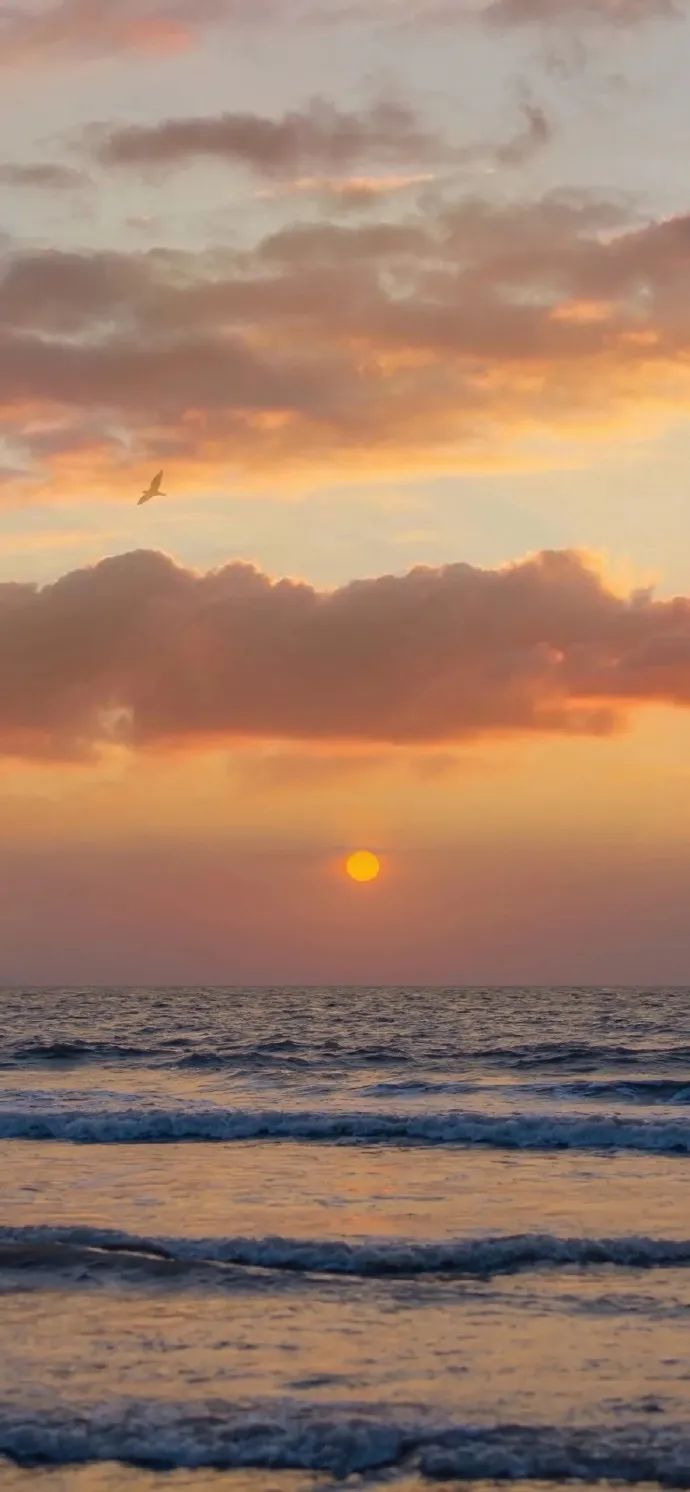 不烂大街的高级壁纸