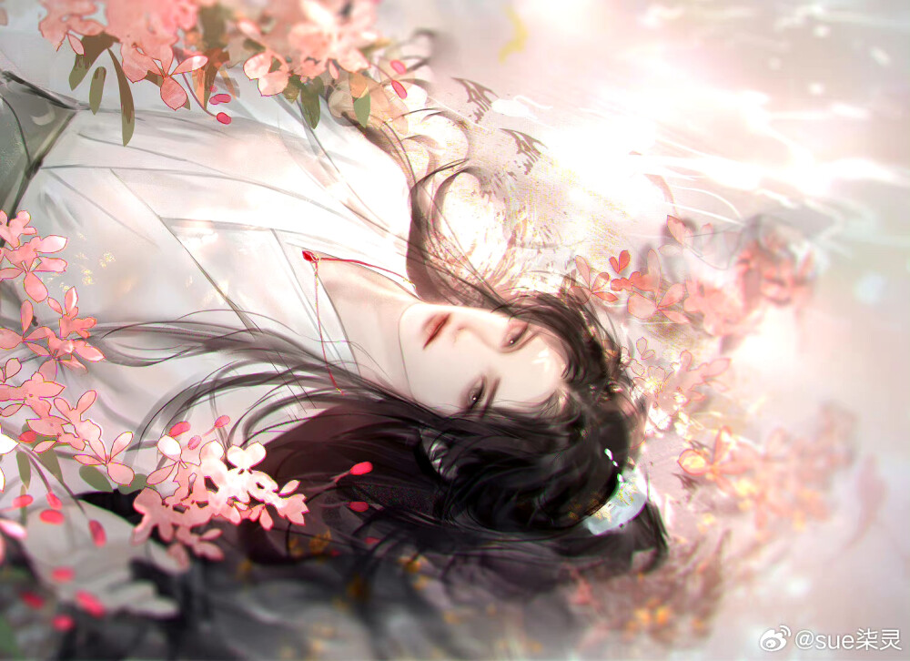 二哈和他的白猫师尊