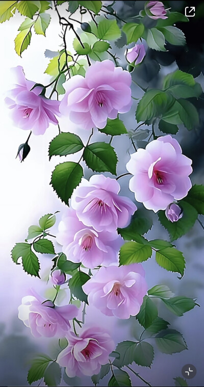 花草