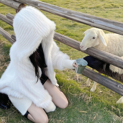 优质女头
