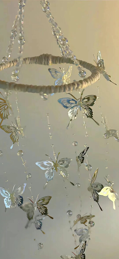 素材 壁纸 背景图 蝴蝶