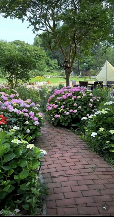 花草