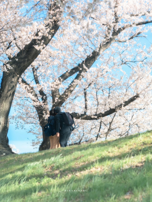 背景