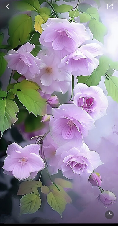 花草