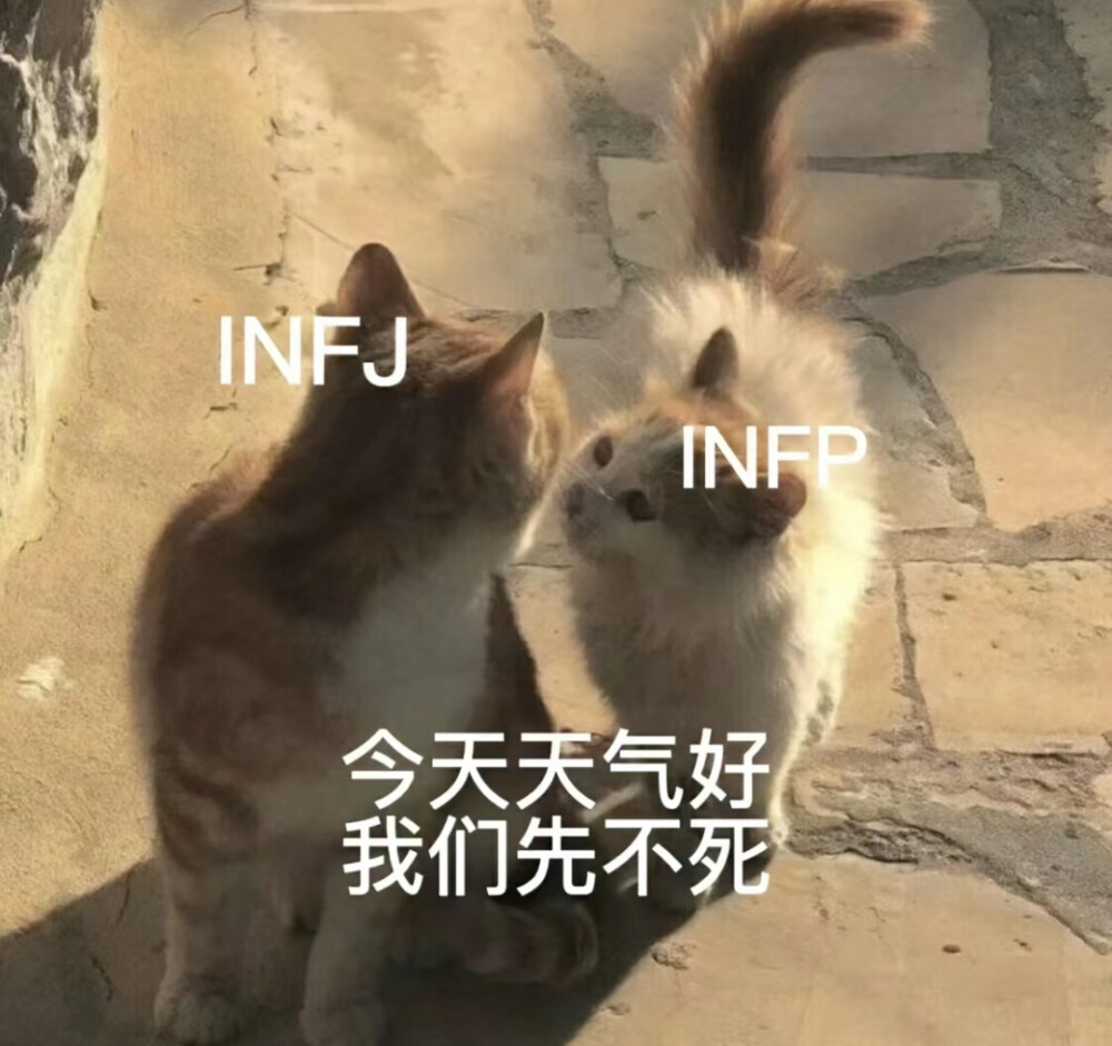 infp