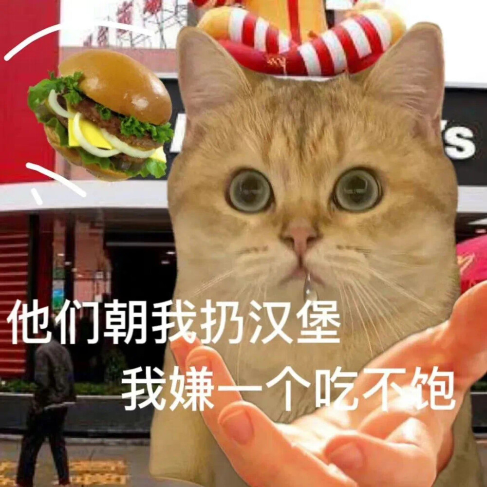 小猫小狗表情包