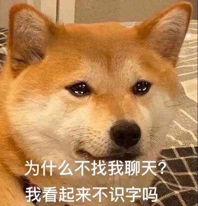 表情包