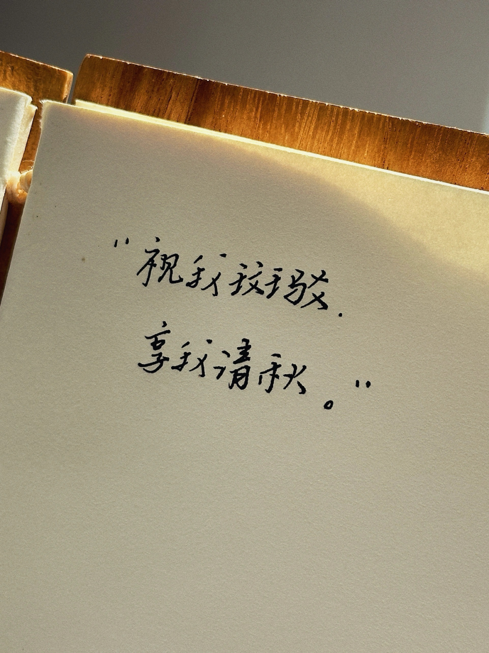 手写ins
壁纸
街景
头像
背景
美图
漫头
情头
专辑封面
AI风景动漫风景