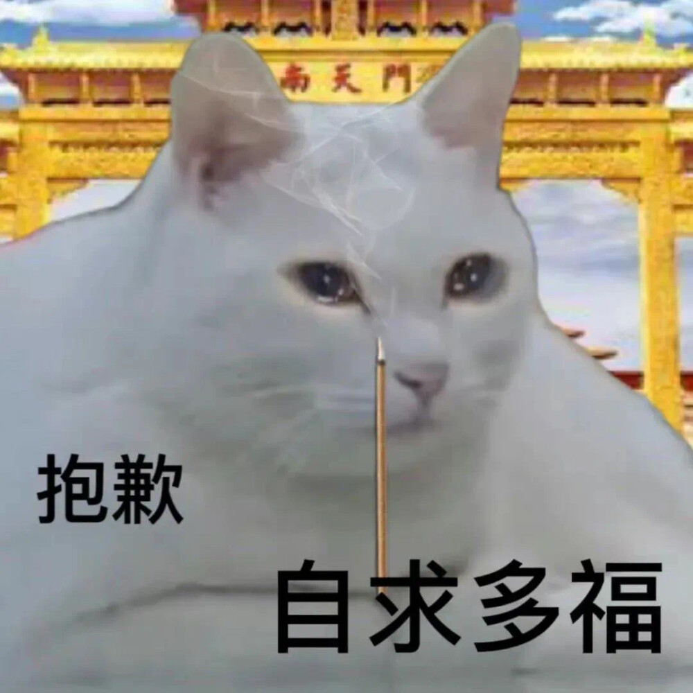 小猫小狗表情包